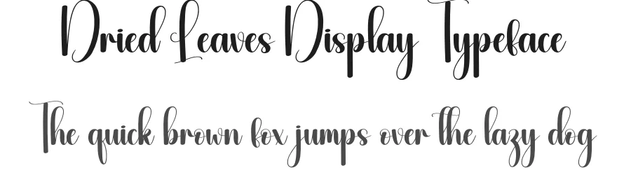 Dried Leaves Display Typeface by andikastudio — Script Handwritten Font