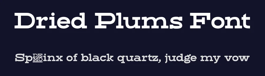 Dried Plums Font by Suolahti Type — Slab Serif Font — thumbnail 2