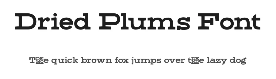 Dried Plums Font by Suolahti Type — Slab Serif Font