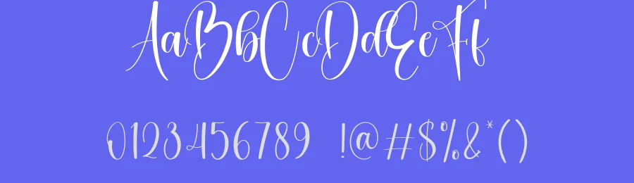 Drinking Calligraphy Font by creativeletter — Script Handwritten Font — thumbnail 3
