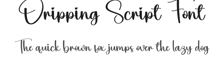 Dripping Script Font by creativeletter — Script Handwritten Font
