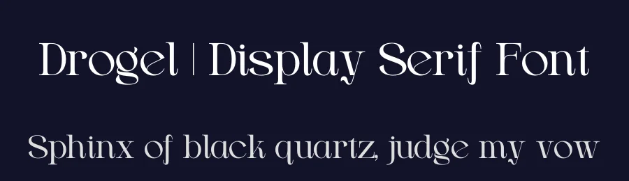 Drogel | Display Serif Font by Gracetypestudio — Display Font — thumbnail 2