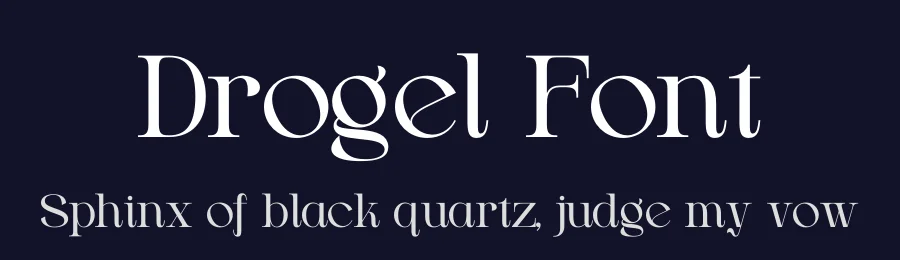 Drogel Font by Gracetype Studio — Serif Font — thumbnail 2