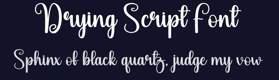 Drying Script Font by andikastudio — Script Handwritten Font — thumbnail 2