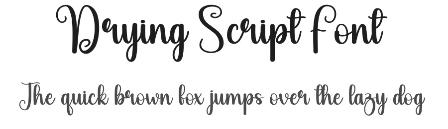 Drying Script Font by andikastudio — Script Handwritten Font