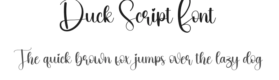 Duck Script Font by creativeletter — Script Handwritten Font