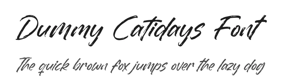 Dummy Catidays Font by Letterena Studios — Script Handwritten Font