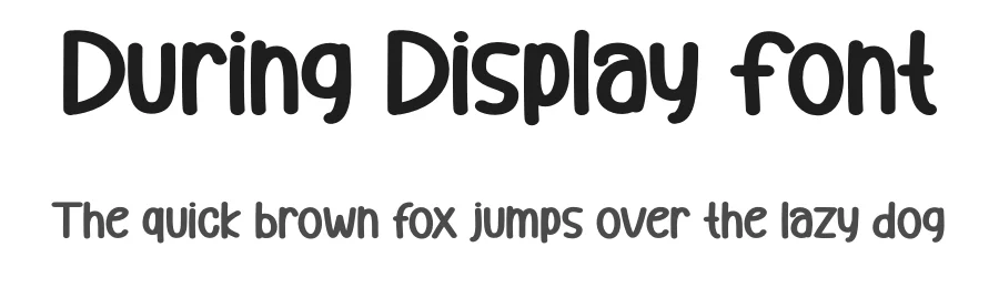 During Display Font by andikastudio — Display Font