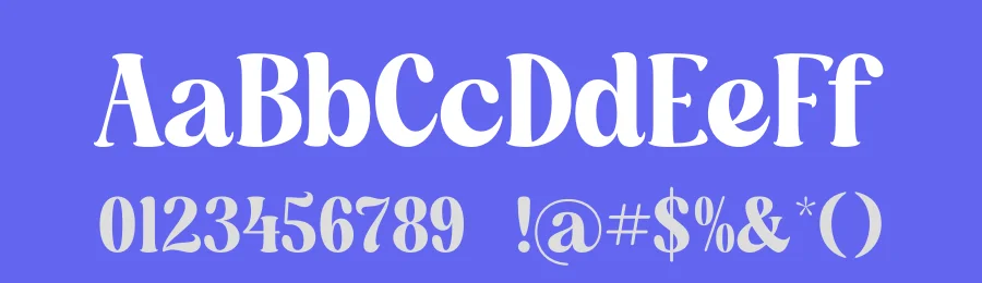 Dusty Brothe – Groovy Serif Font by timelesstype.co — Display Font — thumbnail 3