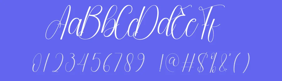 Eagerly Script Font by andikastudio — Script Handwritten Font — thumbnail 3