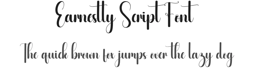 Earnestly Script Font by creativeletter — Script Handwritten Font