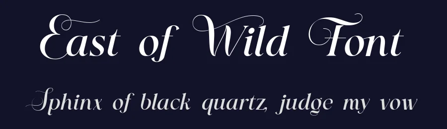 East of Wild Font by ClevUs — Serif Font — thumbnail 2