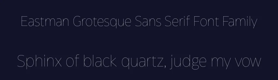 Eastman Grotesque Sans Serif Font Family by Zetafonts — Sans Serif Font — thumbnail 2