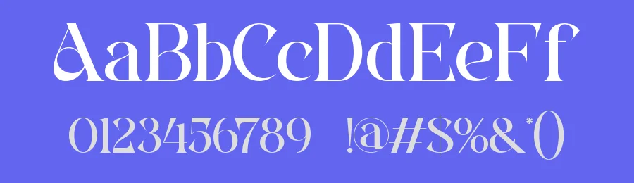 Ectros || Modern Retro Serif Font by ErmediaStudio — Display Font — thumbnail 3