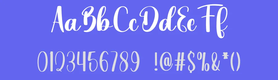 Edition Calligraphy Script Font by freshtypeink — Script Handwritten Font — thumbnail 3