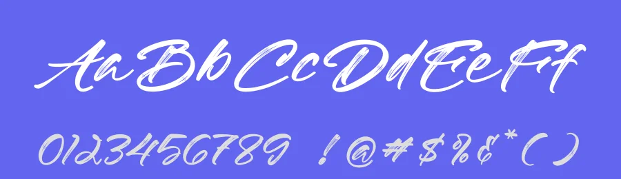 Editonials Font by Operatype.Co — Script Handwritten Font — thumbnail 3