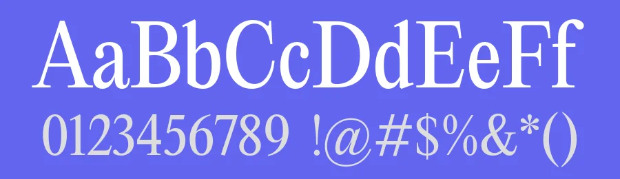 Editorial New Font Family by Pangram Pangram — Serif Font — thumbnail 3