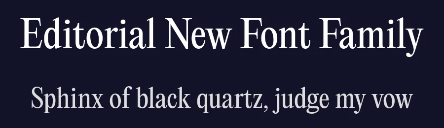 Editorial New Font Family by Pangram Pangram — Serif Font — thumbnail 2