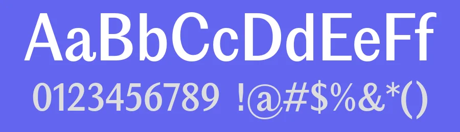 Editorial Sans Font Family by Pangram Pangram — Decorative Font — thumbnail 3