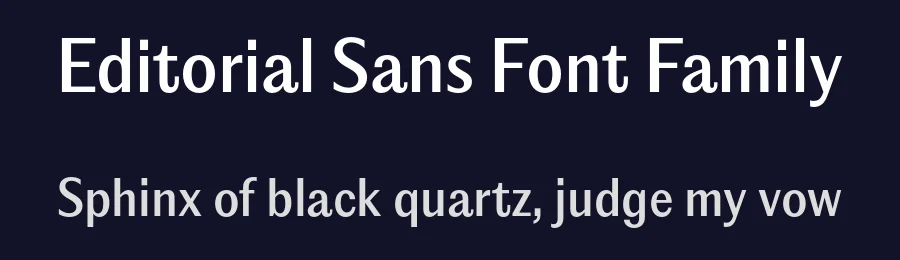 Editorial Sans Font Family by Pangram Pangram — Decorative Font — thumbnail 2