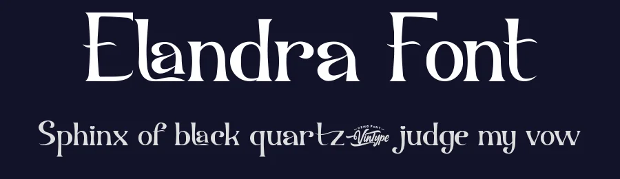 Elandra Font by VinType — Display Font — thumbnail 2