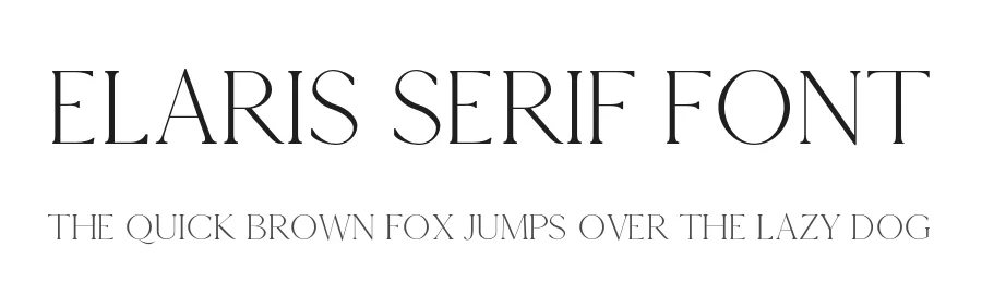 Elaris Serif Font by Paul van Oijen — Serif Font