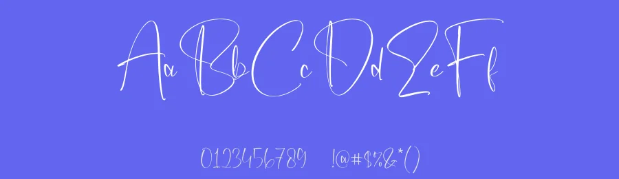Eleanor Script Font by letterfabric — Script Handwritten Font — thumbnail 3