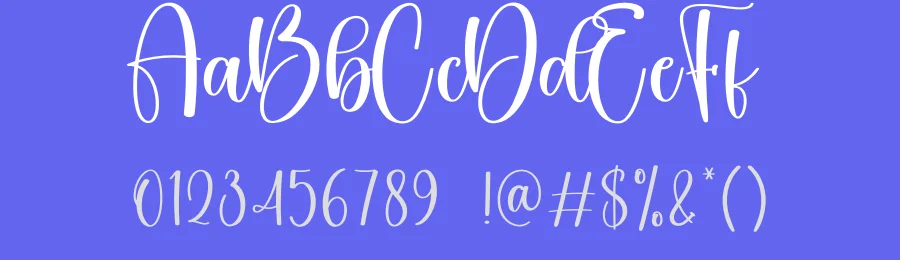 Election Calligraphy Font by creativeletter — Script Handwritten Font — thumbnail 3