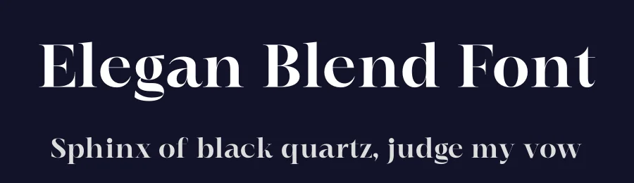 Elegan Blend Font by letterenastudios — Serif Font — thumbnail 2