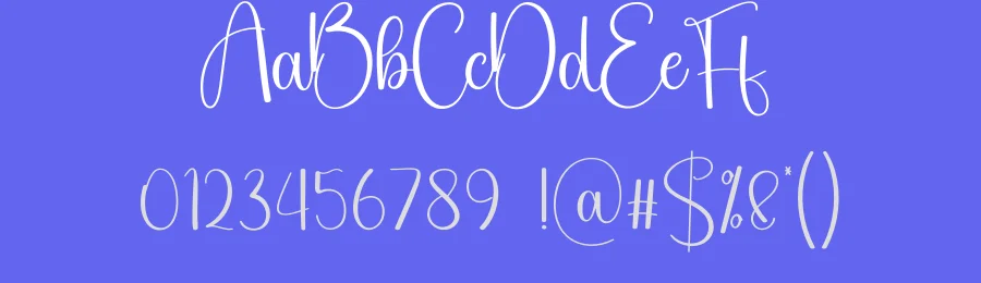 Elegant Embroidery Script Font by creativeletter — Script Handwritten Font — thumbnail 3
