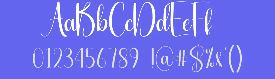 Elegant Script Typeface by creativeletter — Script Handwritten Font — thumbnail 3