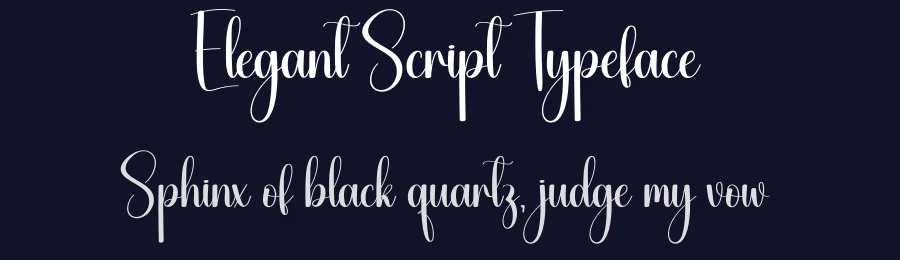 Elegant Script Typeface by creativeletter — Script Handwritten Font — thumbnail 2