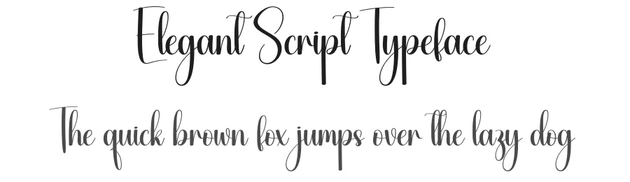 Elegant Script Typeface by creativeletter — Script Handwritten Font