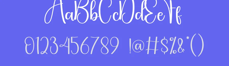 Elegant Script Typeface by creativeletter — Script Handwritten Font — thumbnail 3