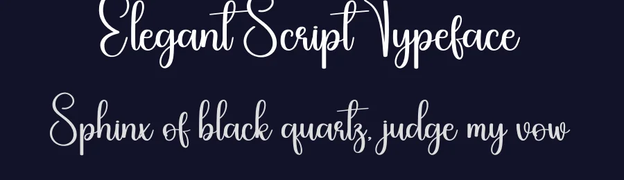Elegant Script Typeface by creativeletter — Script Handwritten Font — thumbnail 2