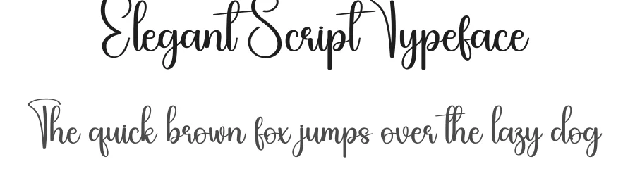 Elegant Script Typeface by creativeletter — Script Handwritten Font