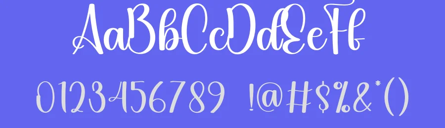 Elegant Script Typeface by andikastudio — Script Handwritten Font — thumbnail 3