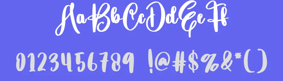 Elegant Script Typeface by creativeletter — Script Handwritten Font — thumbnail 3