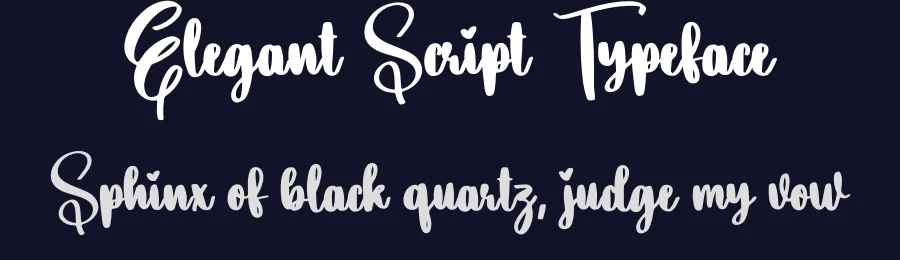 Elegant Script Typeface by creativeletter — Script Handwritten Font — thumbnail 2