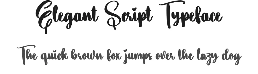 Elegant Script Typeface by creativeletter — Script Handwritten Font