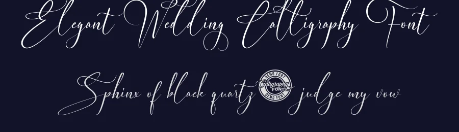 Elegant Wedding Calligraphy Font by RaisProject — Script Handwritten Font — thumbnail 2