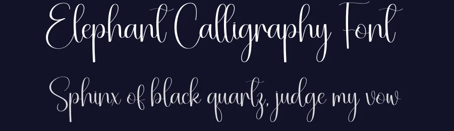 Elephant Calligraphy Font by creativeletter — Script Handwritten Font — thumbnail 2