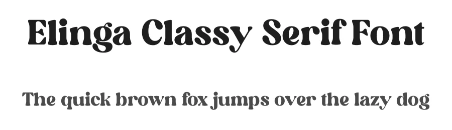Elinga Classy Serif Font by Storytype — Serif Font