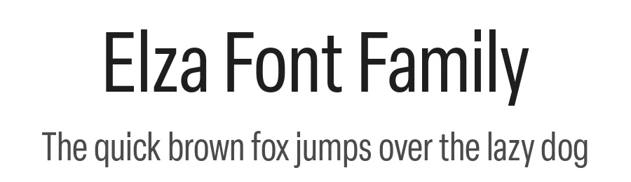 Elza Font Family by Blackletra — Sans Serif Font