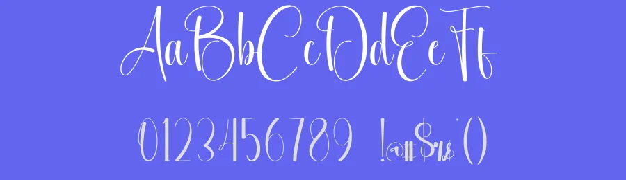 Embroidery Calligraphy Font by creativeletter — Script Handwritten Font — thumbnail 3
