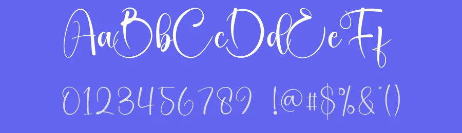 Embroidery – Elegant Handwritten Font by creativeletter — Script Handwritten Font — thumbnail 3