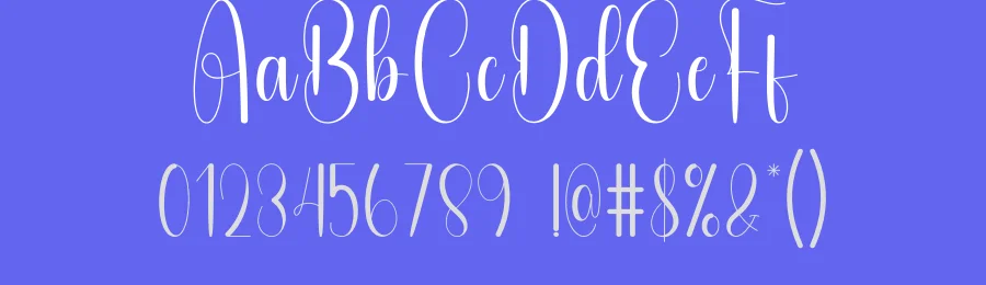 Embroidery – Elegant Script Handwritten Font by andikastudio — Script Handwritten Font — thumbnail 3