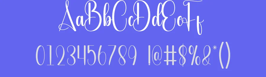Embroidery – Luxury Handwritten Script Font by andikastudio — Script Handwritten Font — thumbnail 3