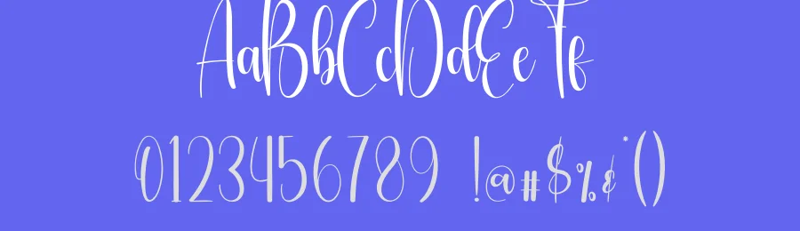 Embroidery Script Font by creativeletter — Script Handwritten Font — thumbnail 3