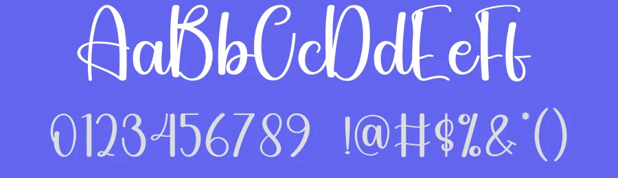Embroidery Script Font by andikastudio — Script Handwritten Font — thumbnail 3